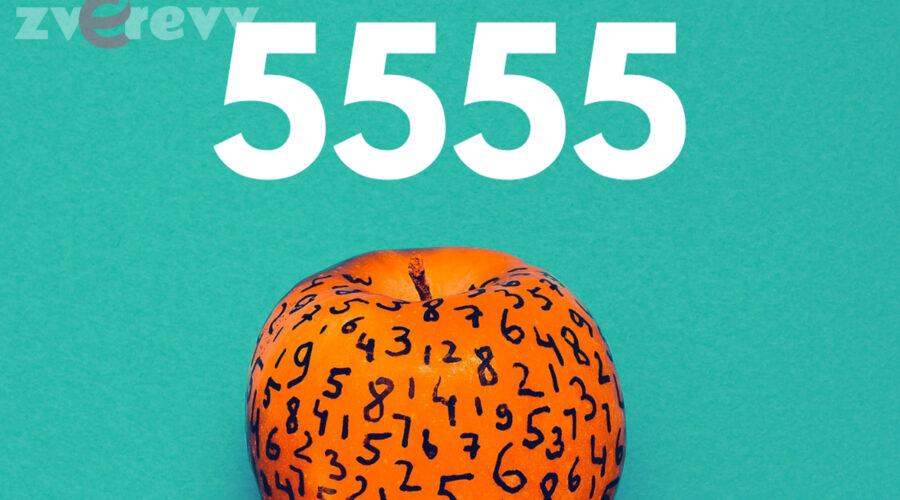 5555 Bedeutung