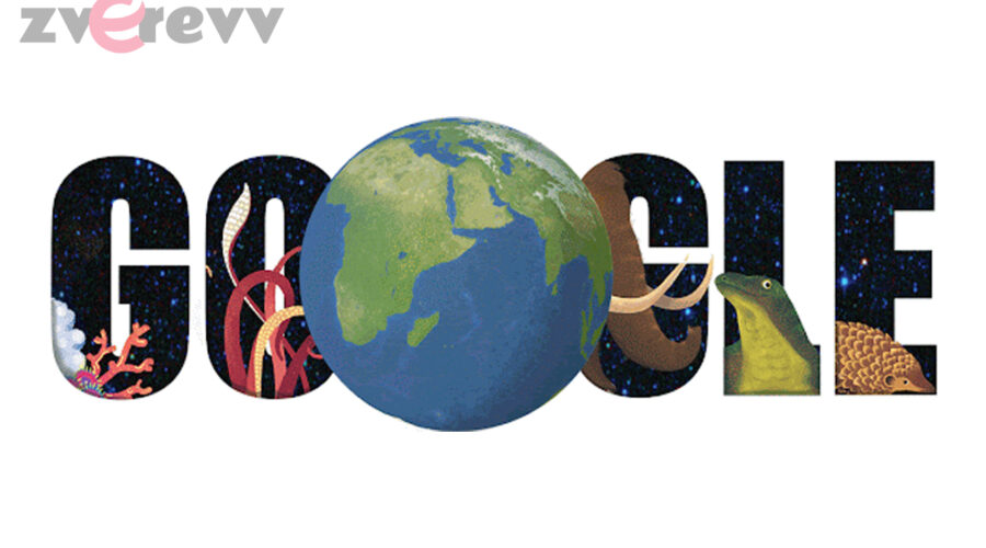Google Quiz zum Tag der Erde