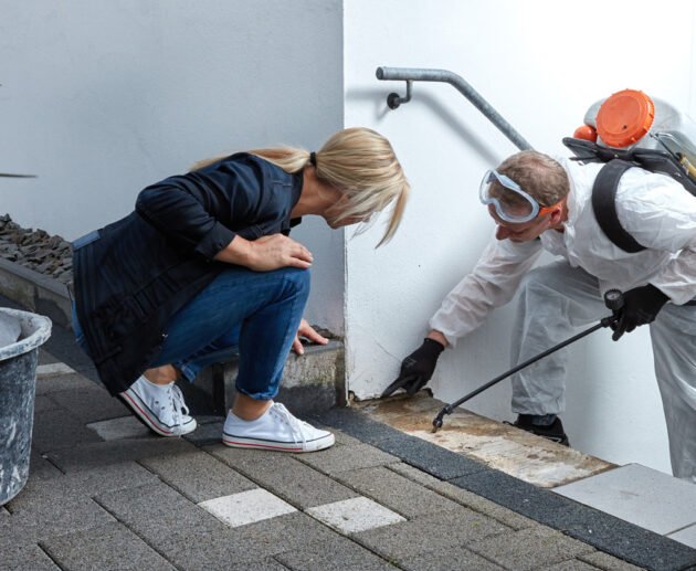 Effektive Schädlingsbekämpfung